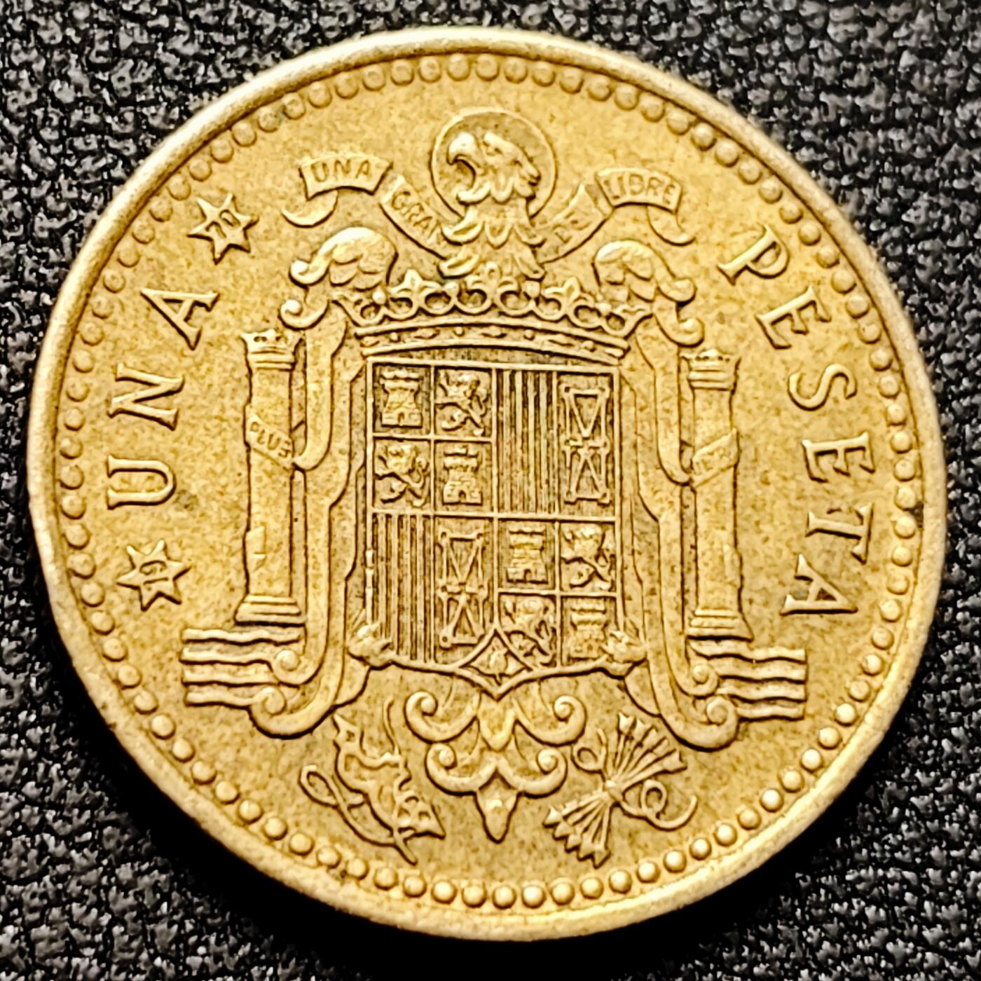 泉币菌-第169场- 精品福利场