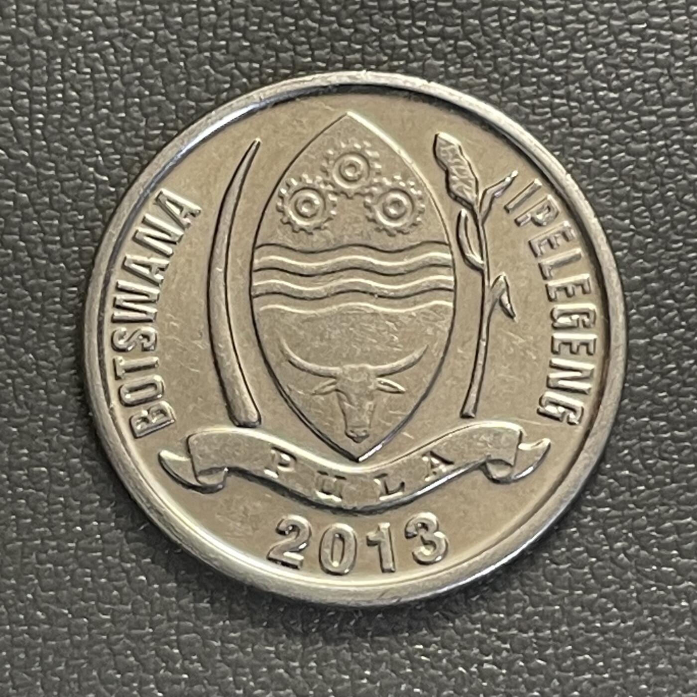 回流0119 博茨瓦纳2013年10西比 跳羚