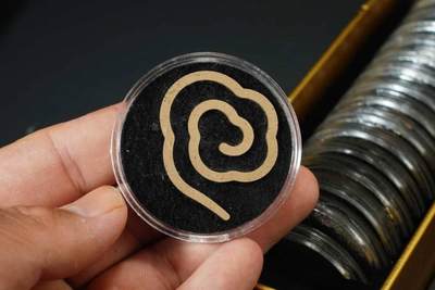 上海都达杂项专场七十三【全场包邮】 天然加里曼丹盘香片 一盒/20片