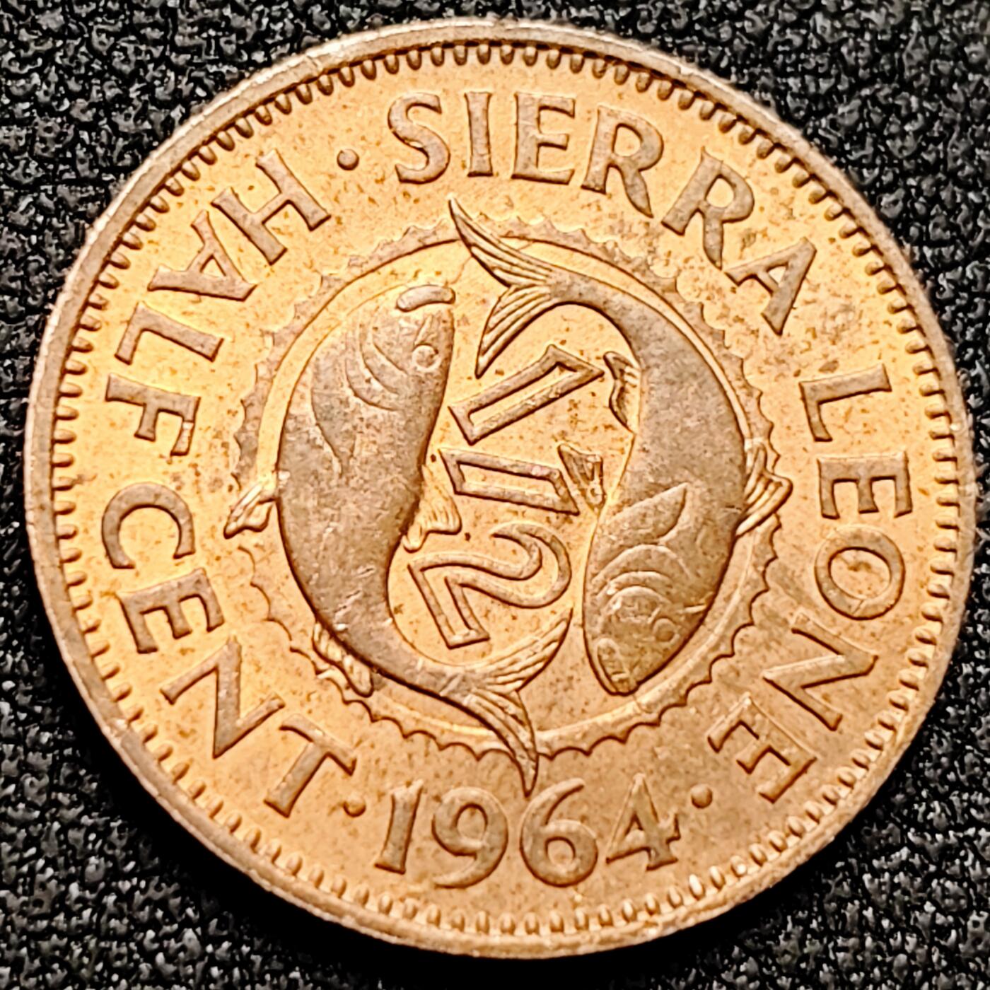 泉币菌-第170场- 精品福利场 。