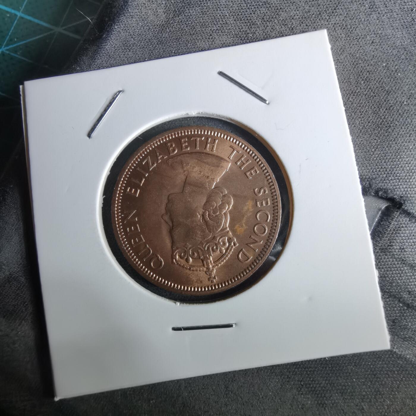 沼泽如烟--第961场