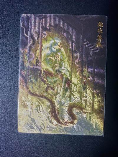 NO.21 好又多金牌大场，新店点关注不迷路！每周一站式配齐，方便凑单！（周6晚8点截拍，卖家送拍0抽成！） - 玄卡阁 始作菩提 粗闪