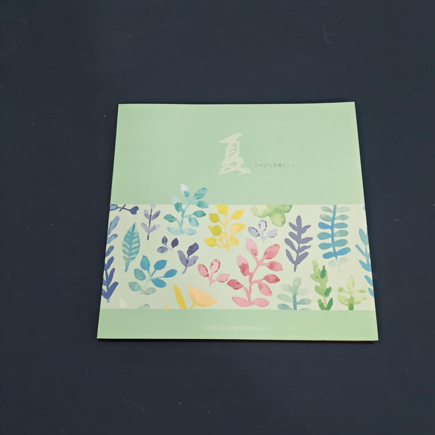 【全场包邮】纯粹捡漏拍495场-持续更新中 【邮票】邮票书系列-二十四节气（夏季）