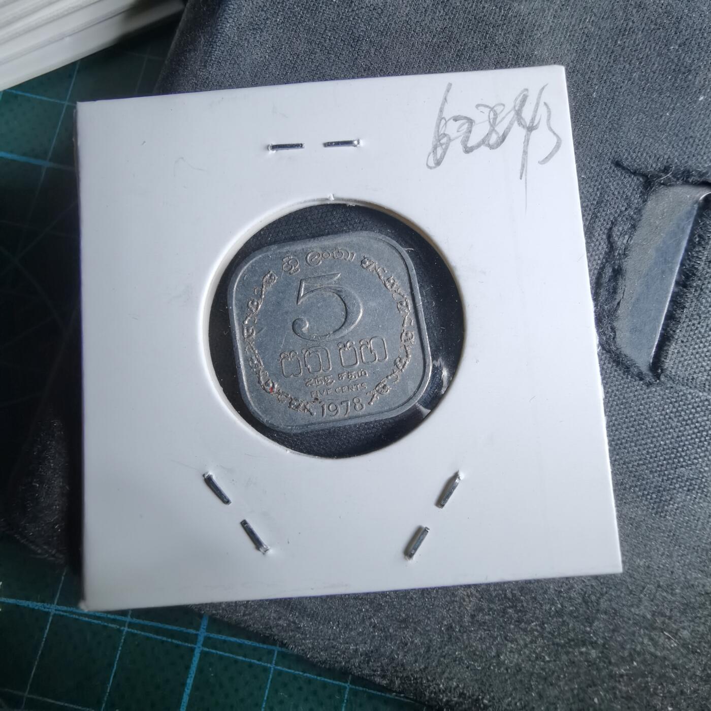 沼泽如烟--第962场