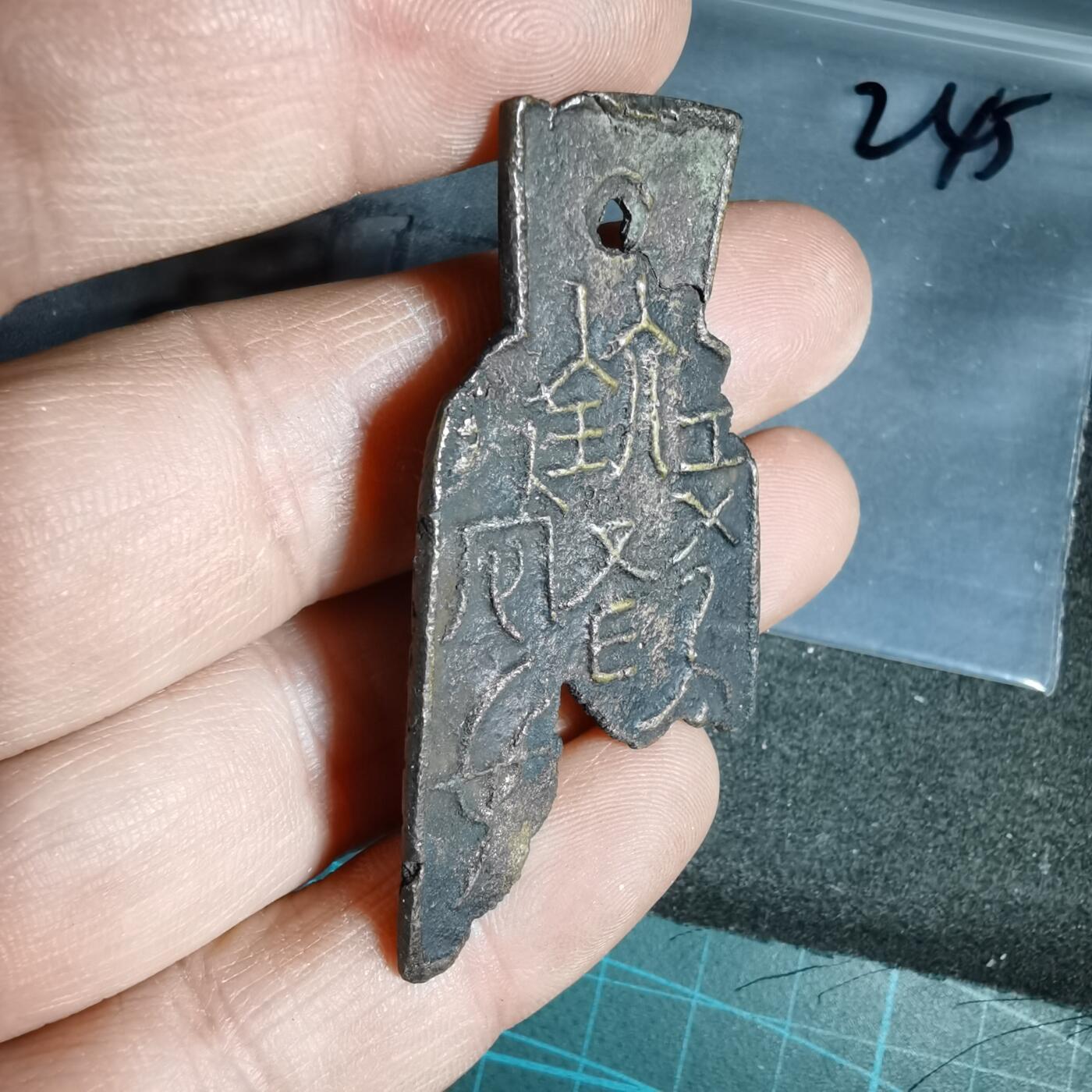 沼泽如烟--第962场 标本