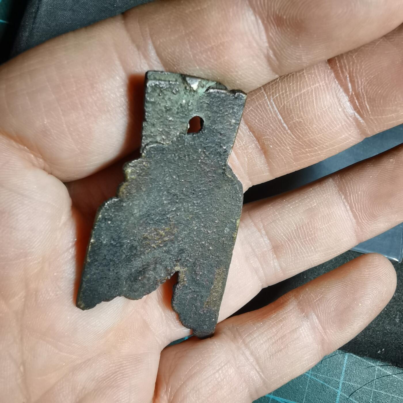 沼泽如烟--第962场 标本