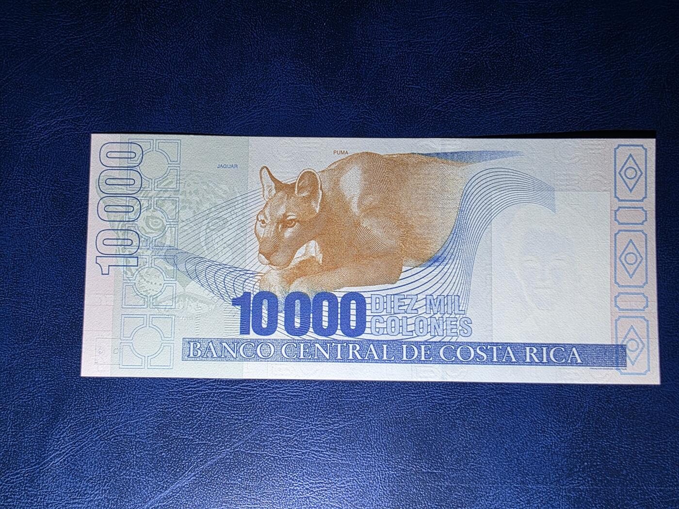 叁拾收藏第34期