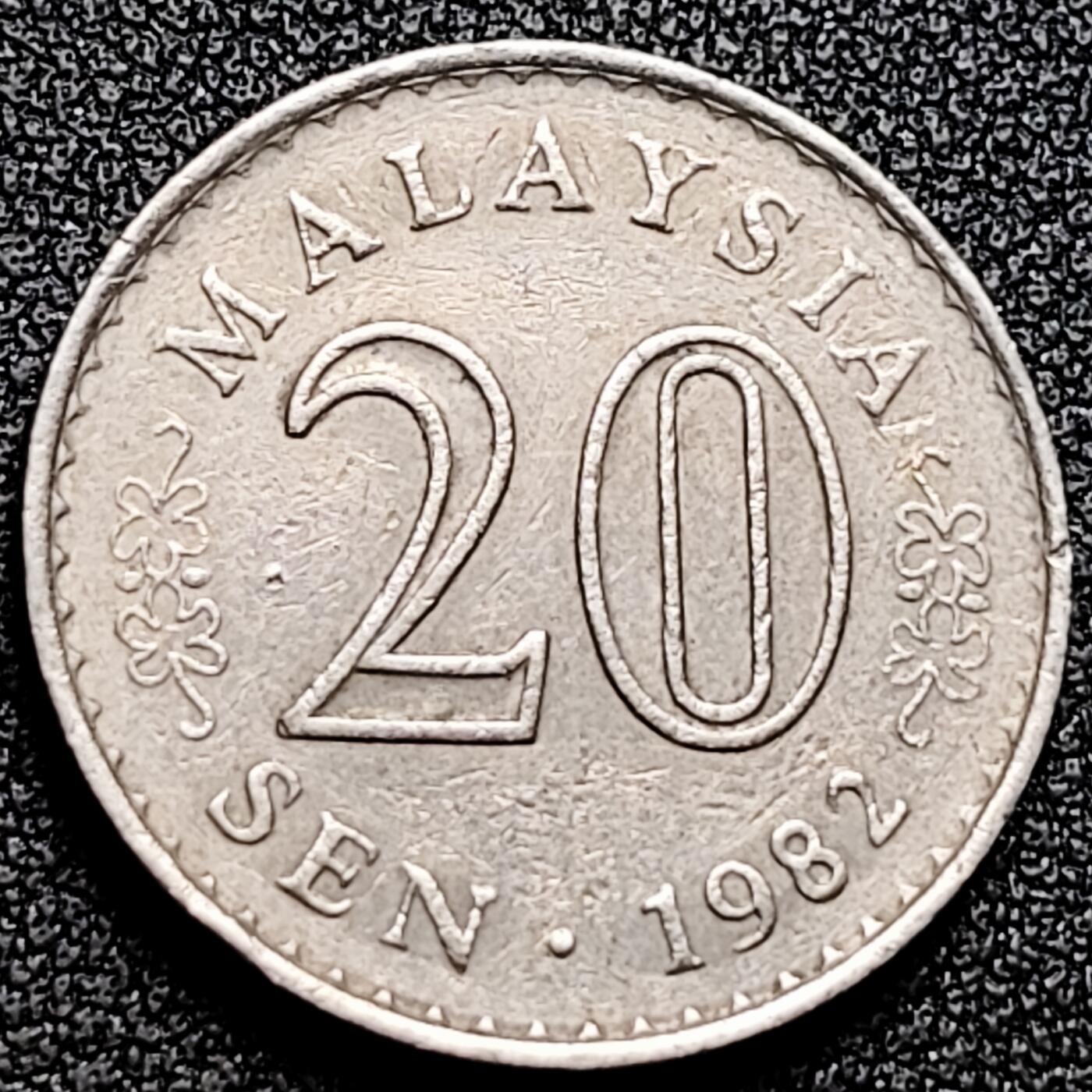 泉币菌-第170场- 精品福利场