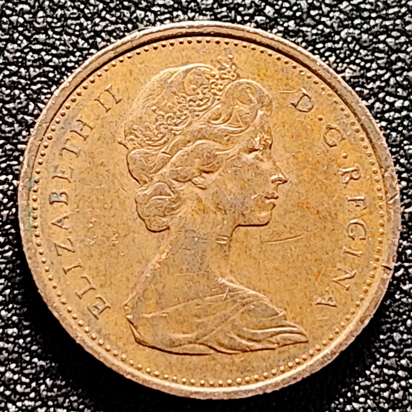 泉币菌-第170场- 精品福利场 。