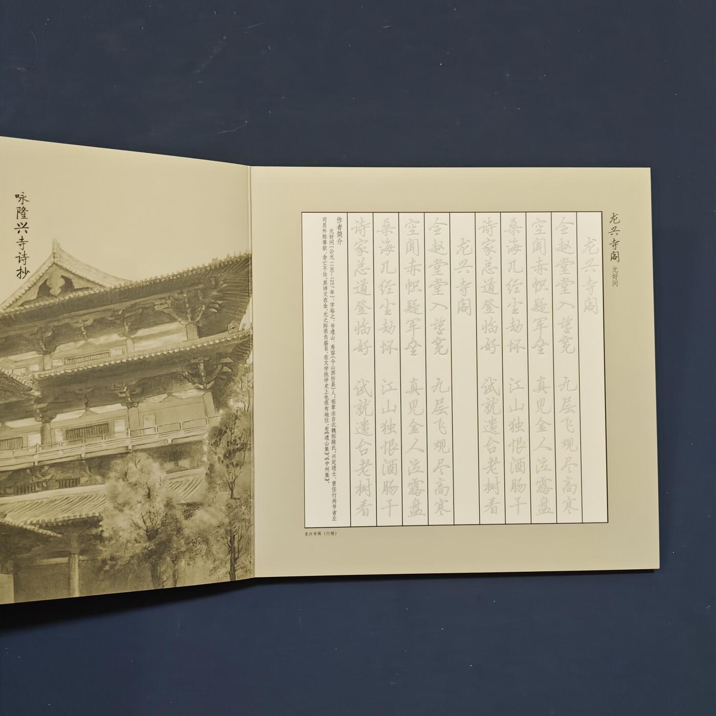 【全场包邮】纯粹捡漏拍495场-持续更新中 【邮票】邮票书系列-隆兴寺（非常精彩）