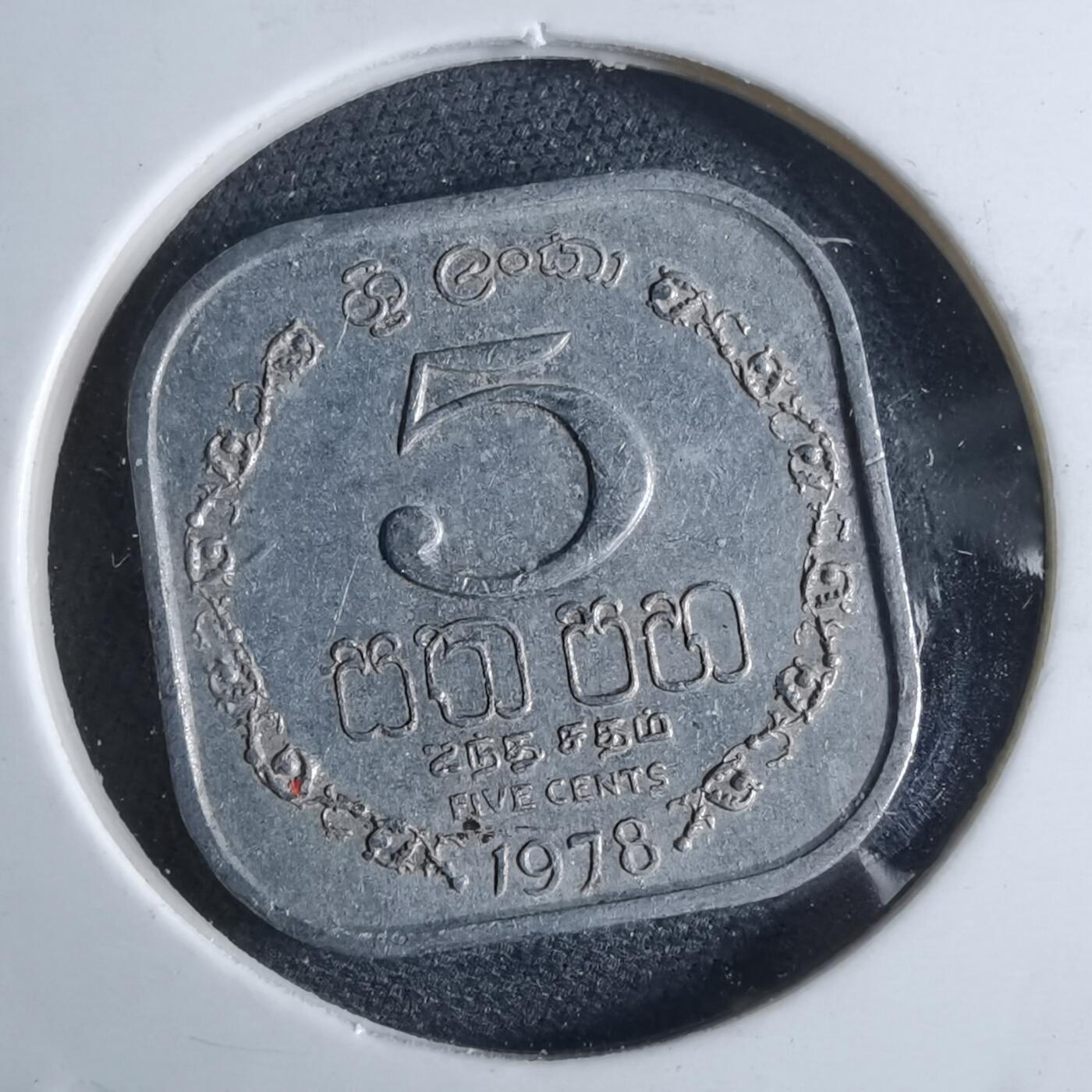 沼泽如烟--第962场