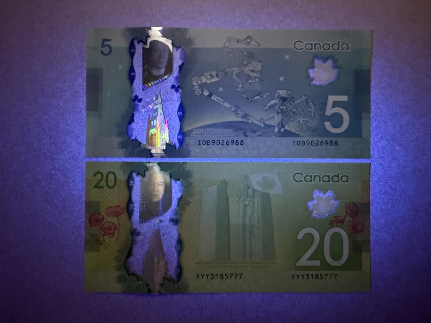 《艾美收藏》第229期-1.18周日外币荟萃 加拿大5、20元2张 UNC 无4 5元双尾88 20元豹子号