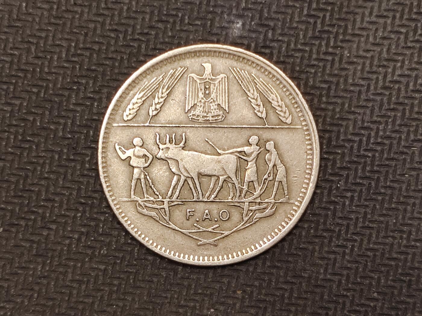 逸泉钱币2026C世界钱币纪念币专场第二组C1-400件 228埃及皮阿斯特纪念币