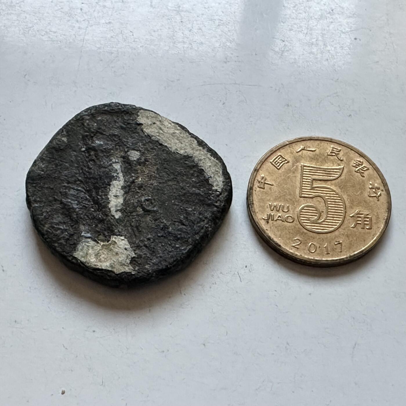 🌹外币初藏🌹🐯2026年第8场  每周二四六晚8️⃣点 接代拍 古罗马钱币