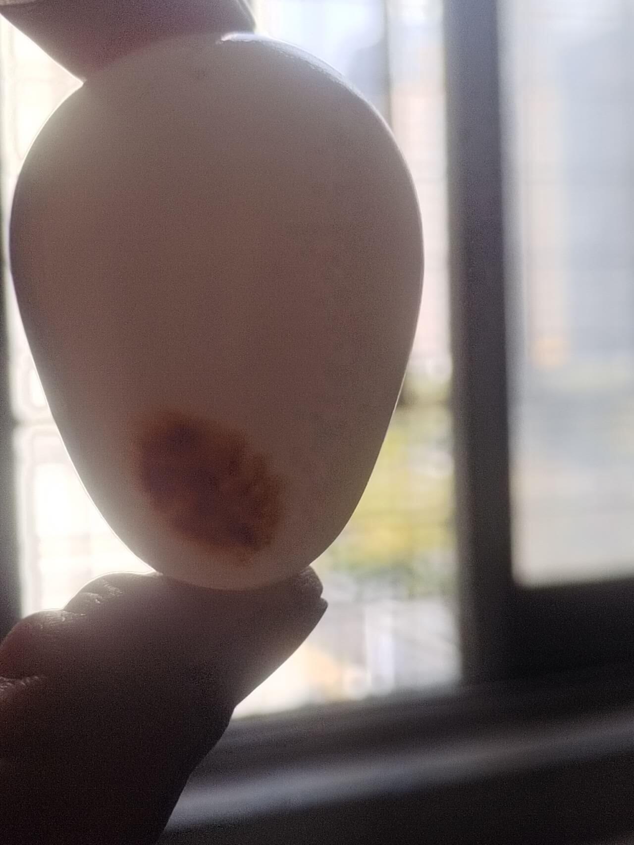 玉石 手镯 手串 手链 和田白玉手把件。