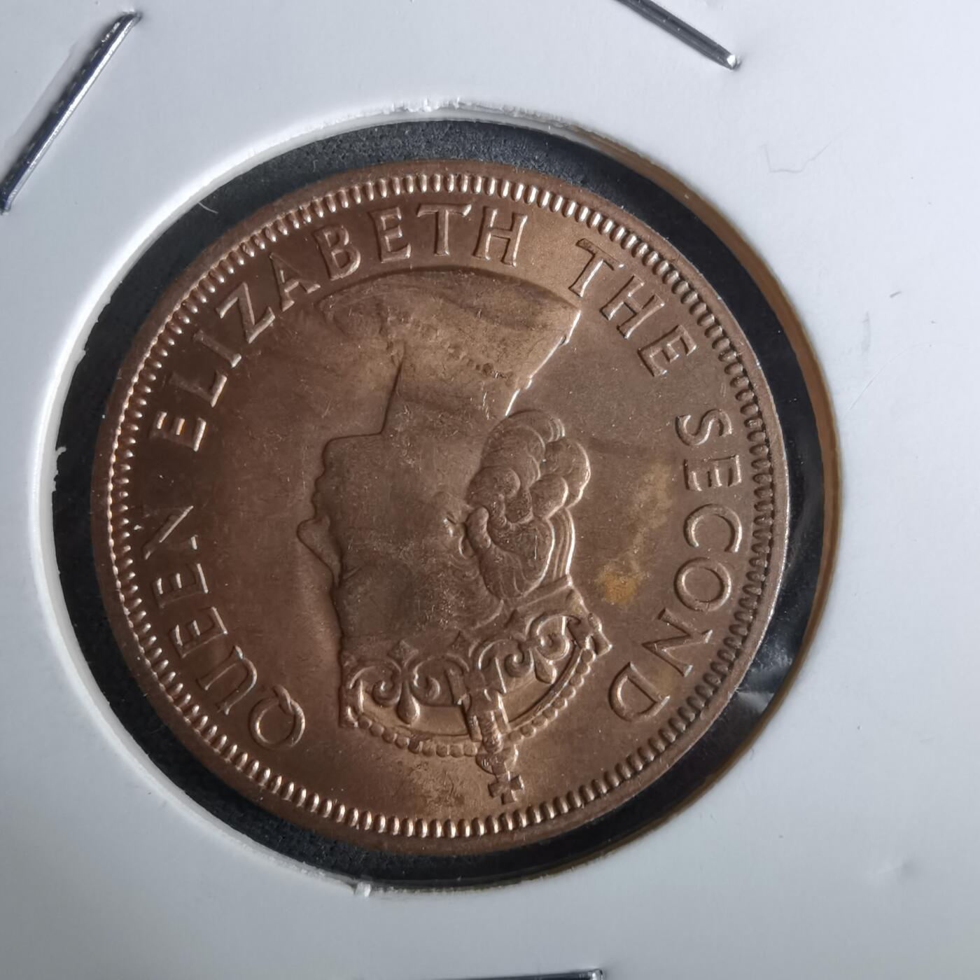 沼泽如烟--第961场