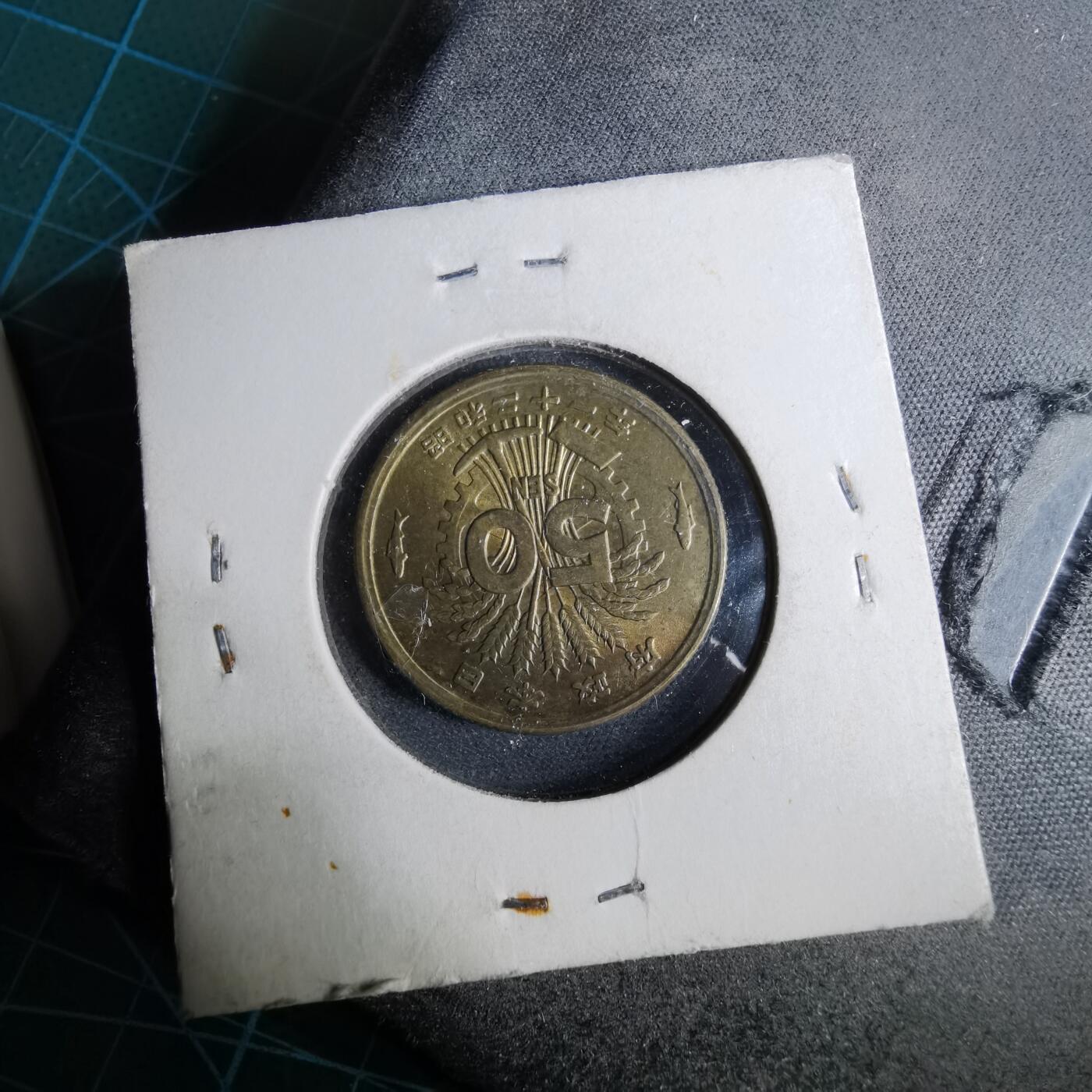 沼泽如烟--第962场