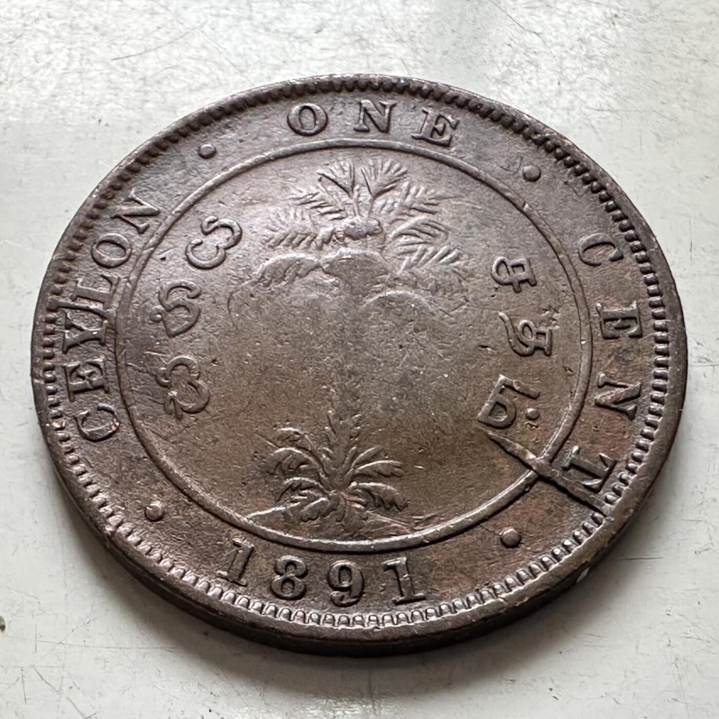 🌹外币初藏🌹🐯2026年第8场  每周二四六晚8️⃣点 接代拍 英属锡兰1891年一分 有2道很少见的模裂多肉