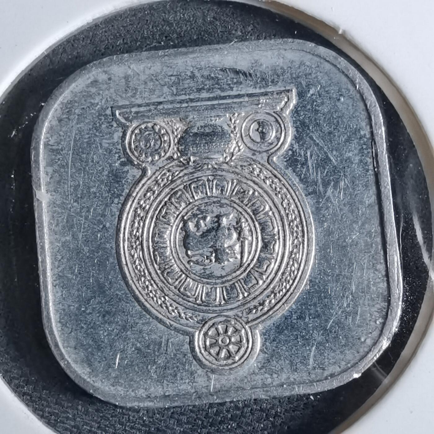 沼泽如烟--第962场