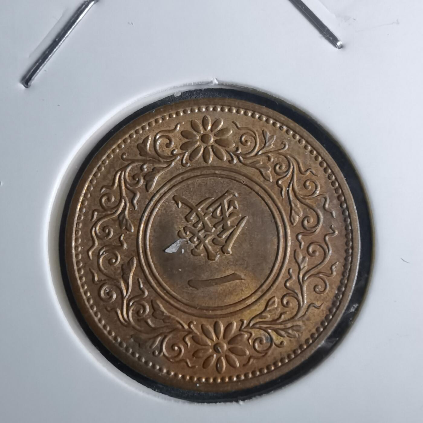 沼泽如烟--第962场