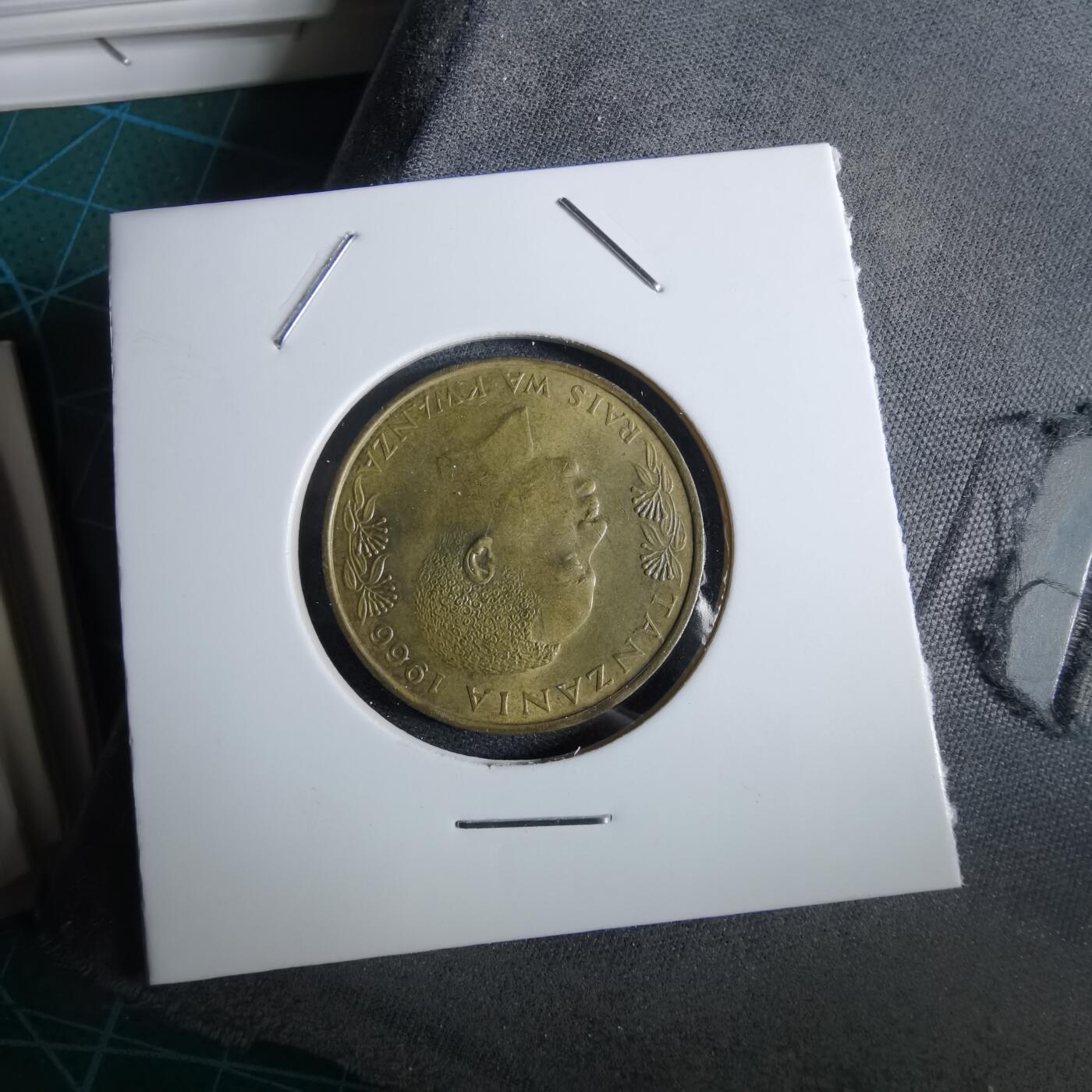 沼泽如烟--第961场