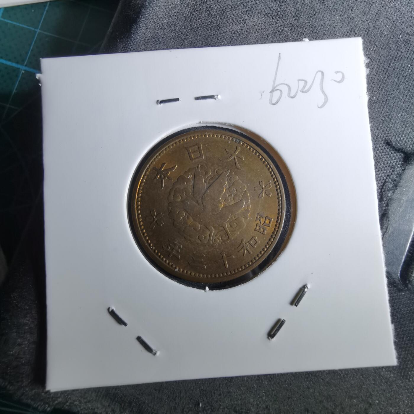 沼泽如烟--第962场