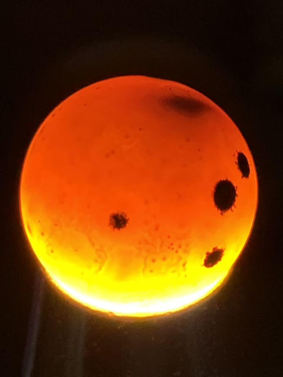 精美罕见亚光原皮天眼纹冻料战国红玛瑙圆珠一个，