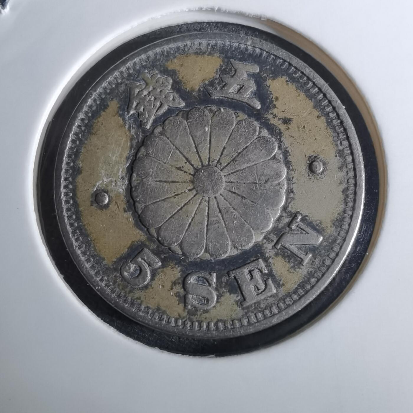 沼泽如烟--第962场