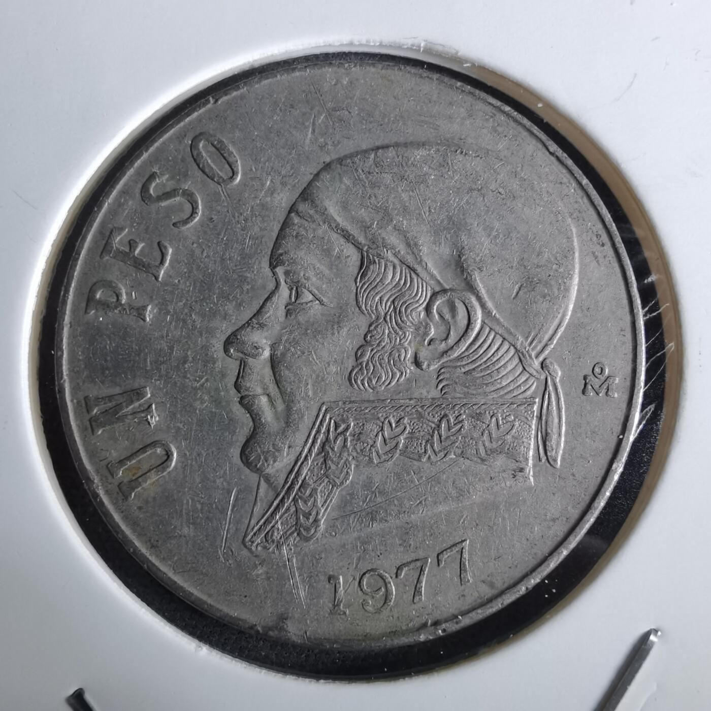 沼泽如烟--第961场