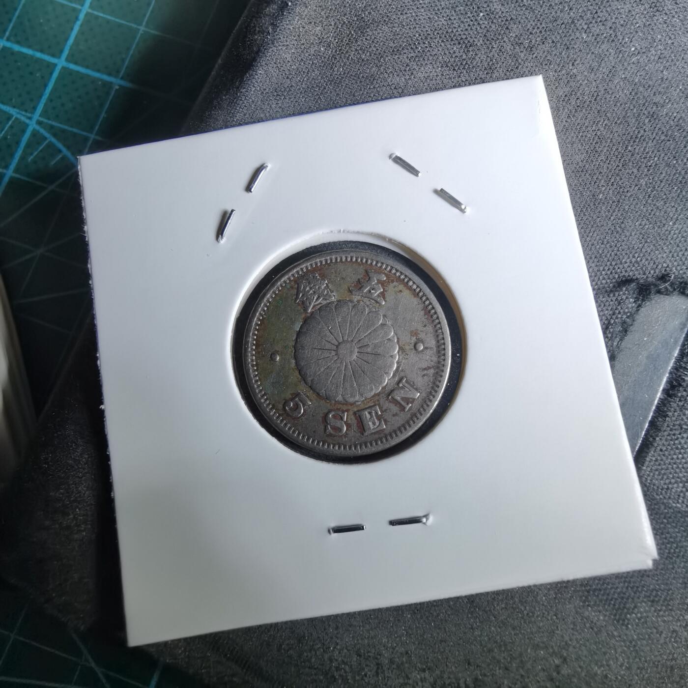 沼泽如烟--第962场