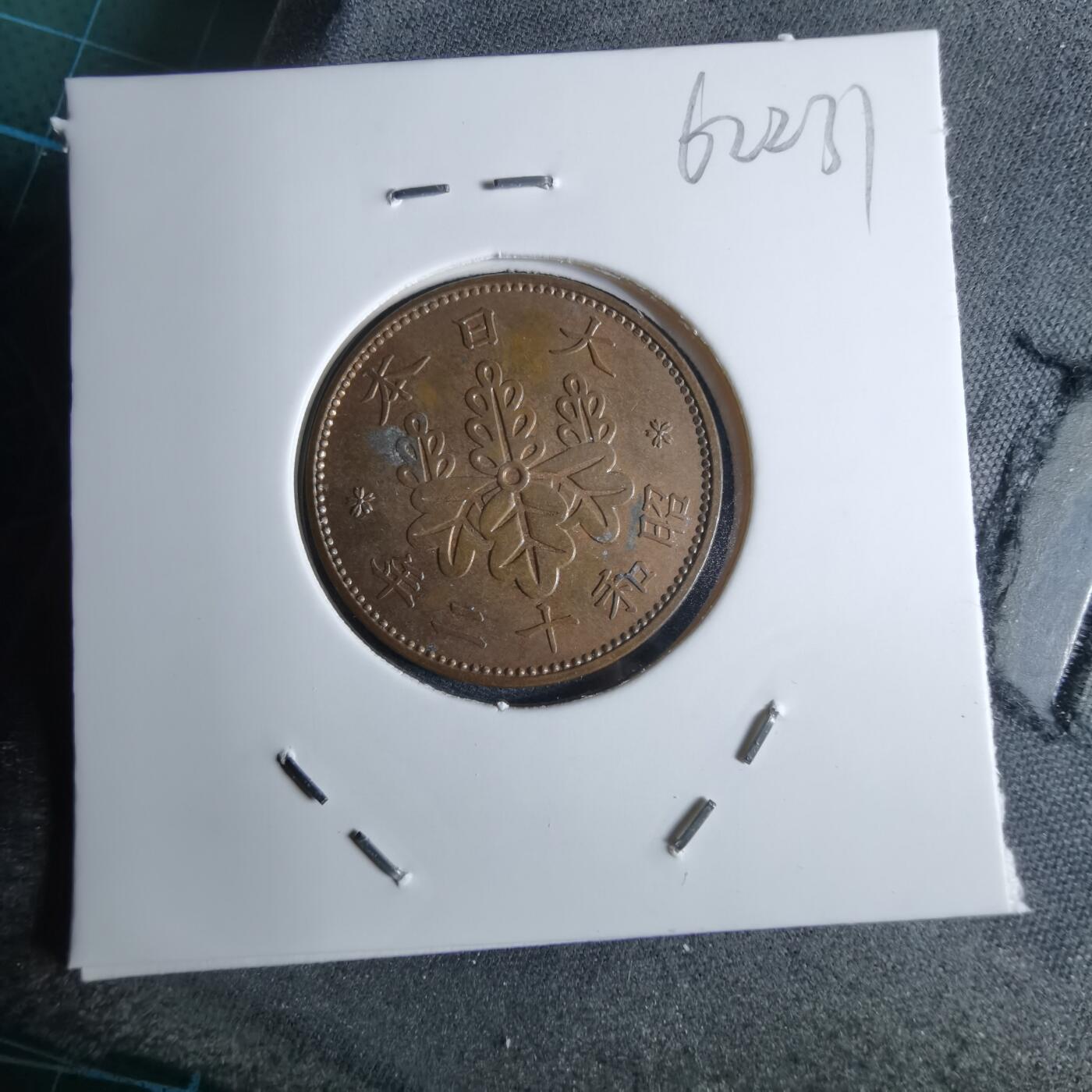 沼泽如烟--第962场