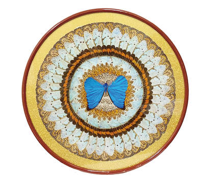 上海拍卖行2025年秋季西洋家具及装饰艺术品 - 巴西蓝闪蝶挂画(直径:45.5cm)