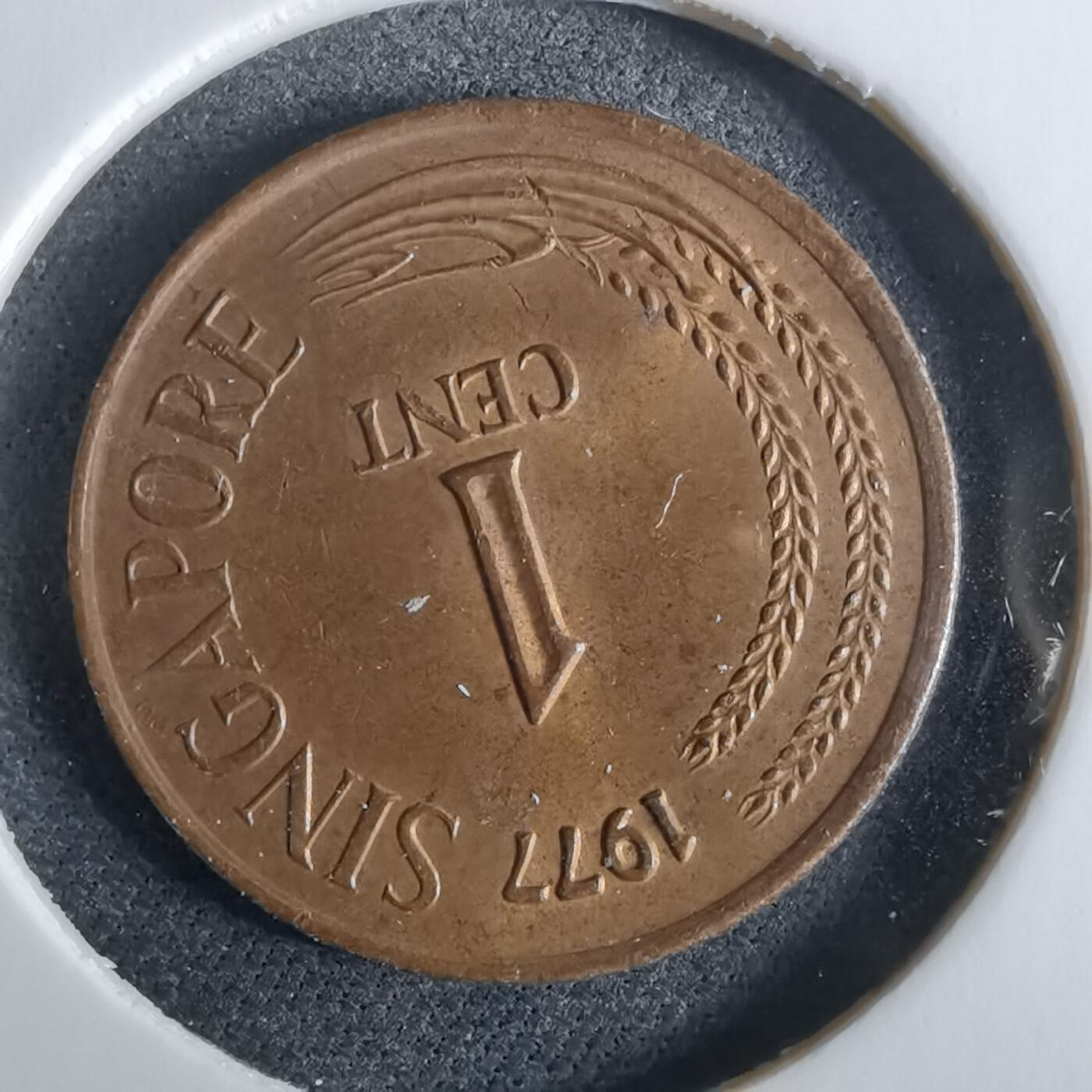 沼泽如烟--第961场