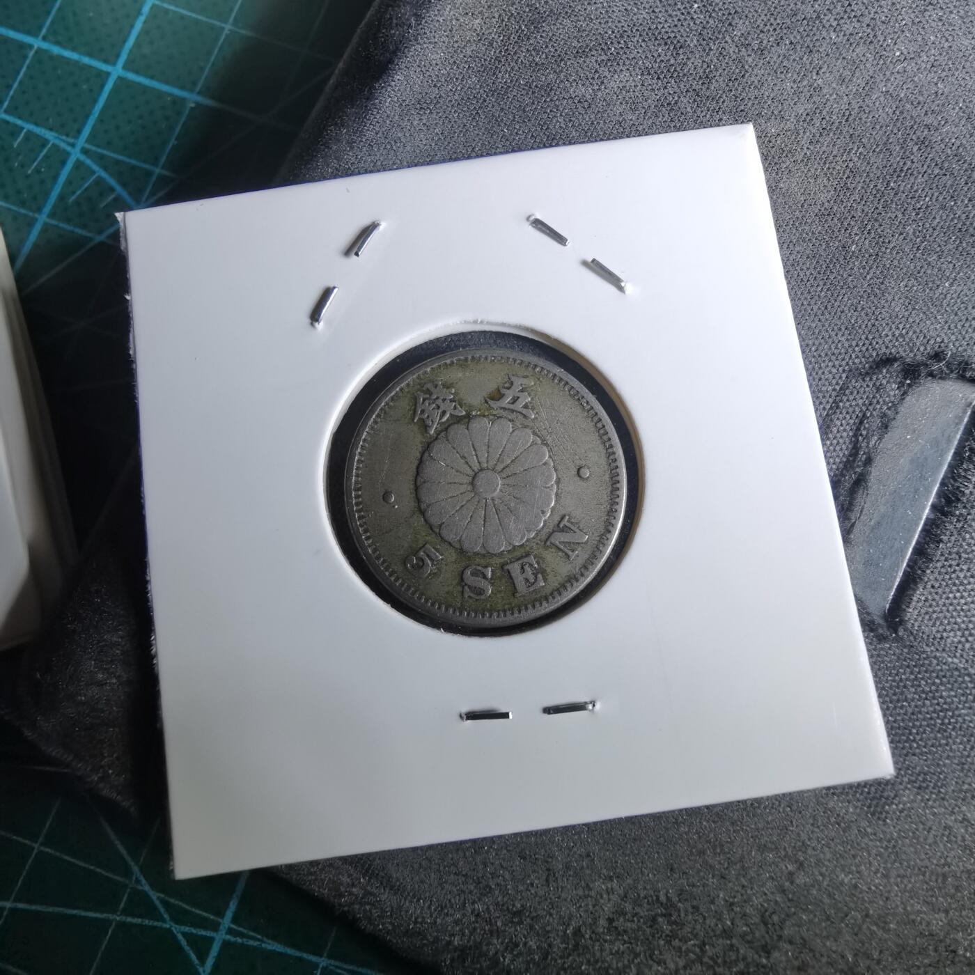 沼泽如烟--第962场