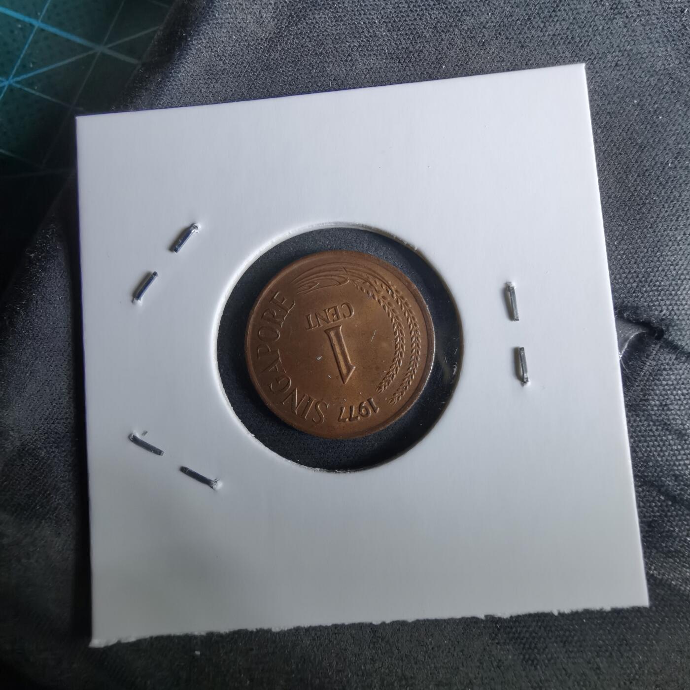 沼泽如烟--第961场