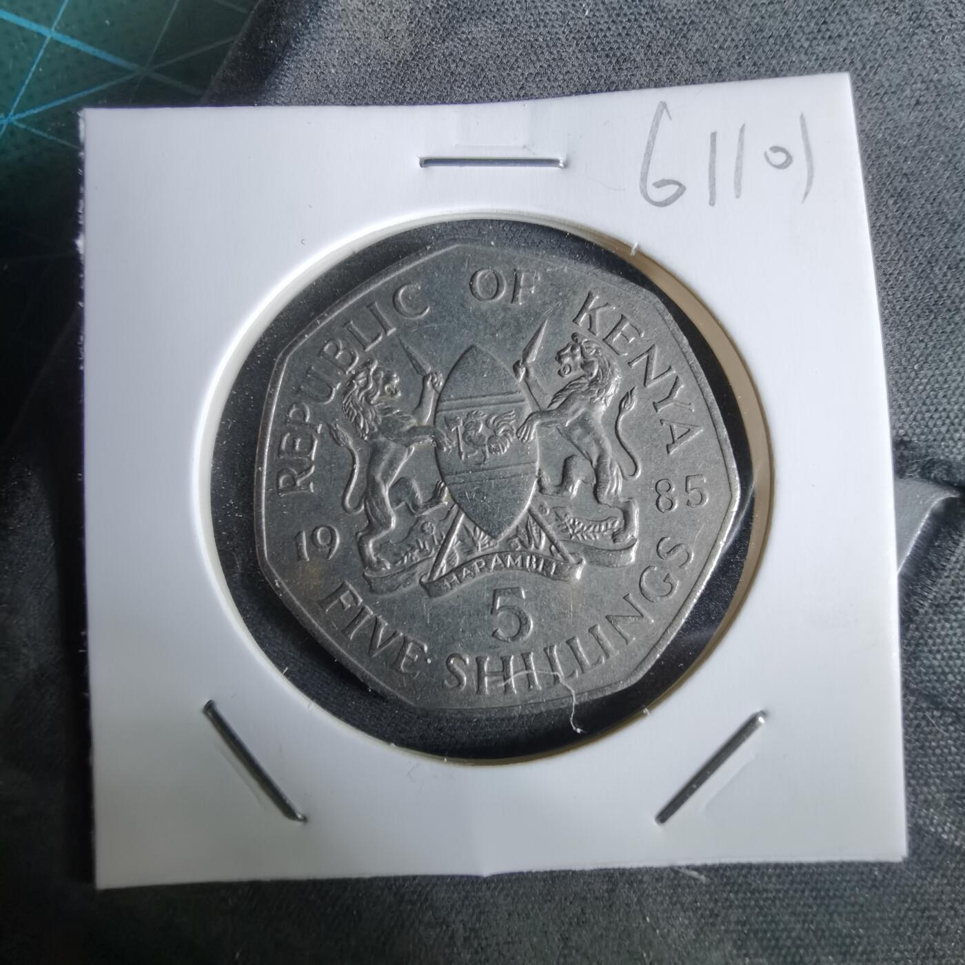 沼泽如烟--第961场