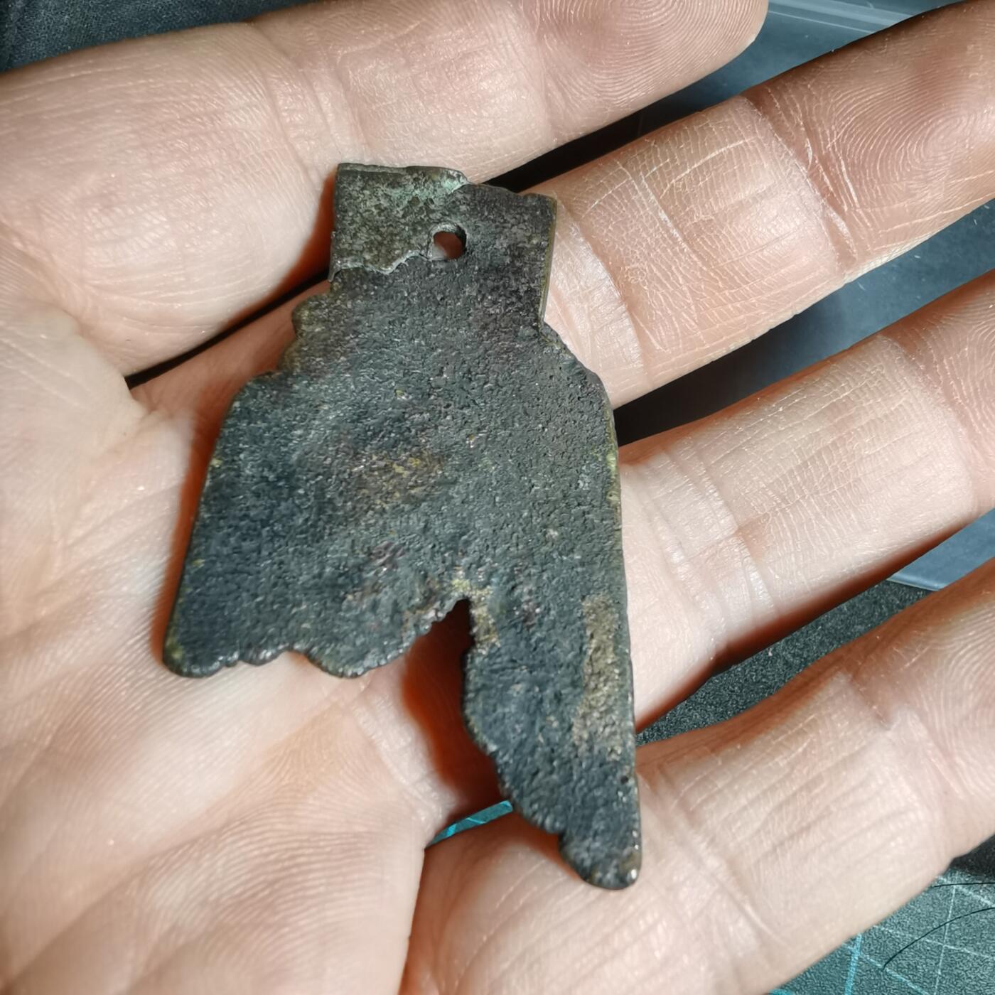 沼泽如烟--第962场 标本