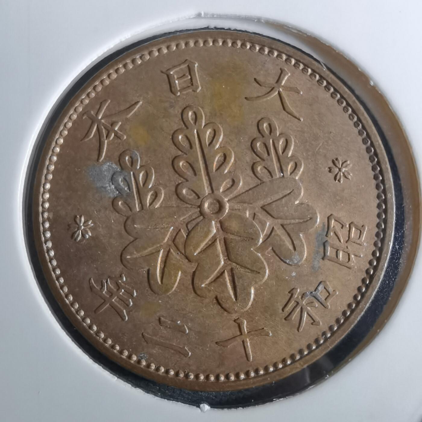 沼泽如烟--第962场