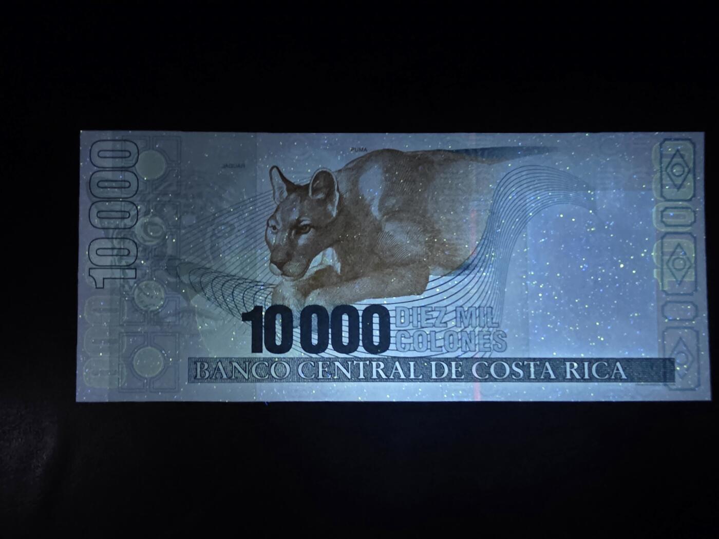 叁拾收藏第34期