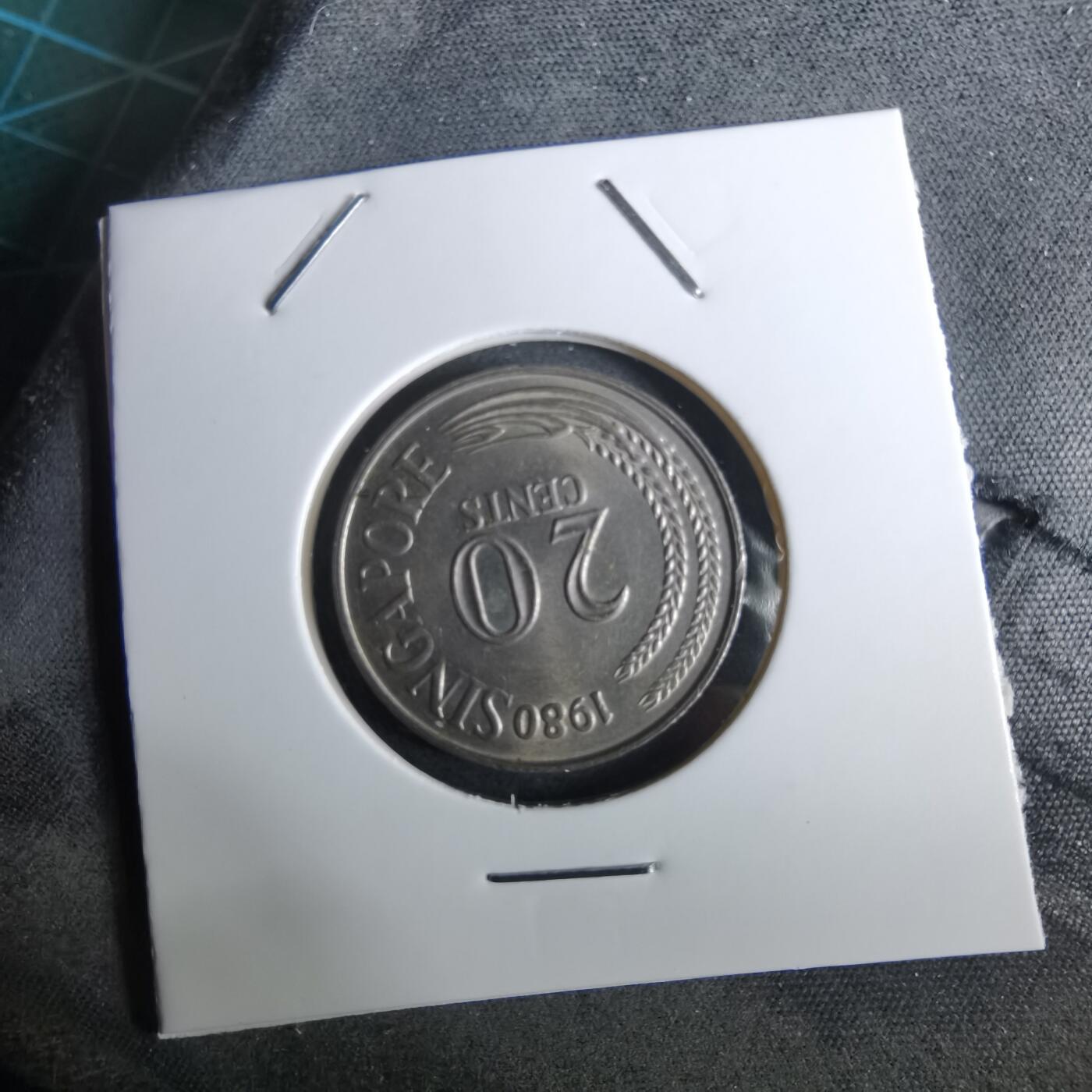 沼泽如烟--第961场