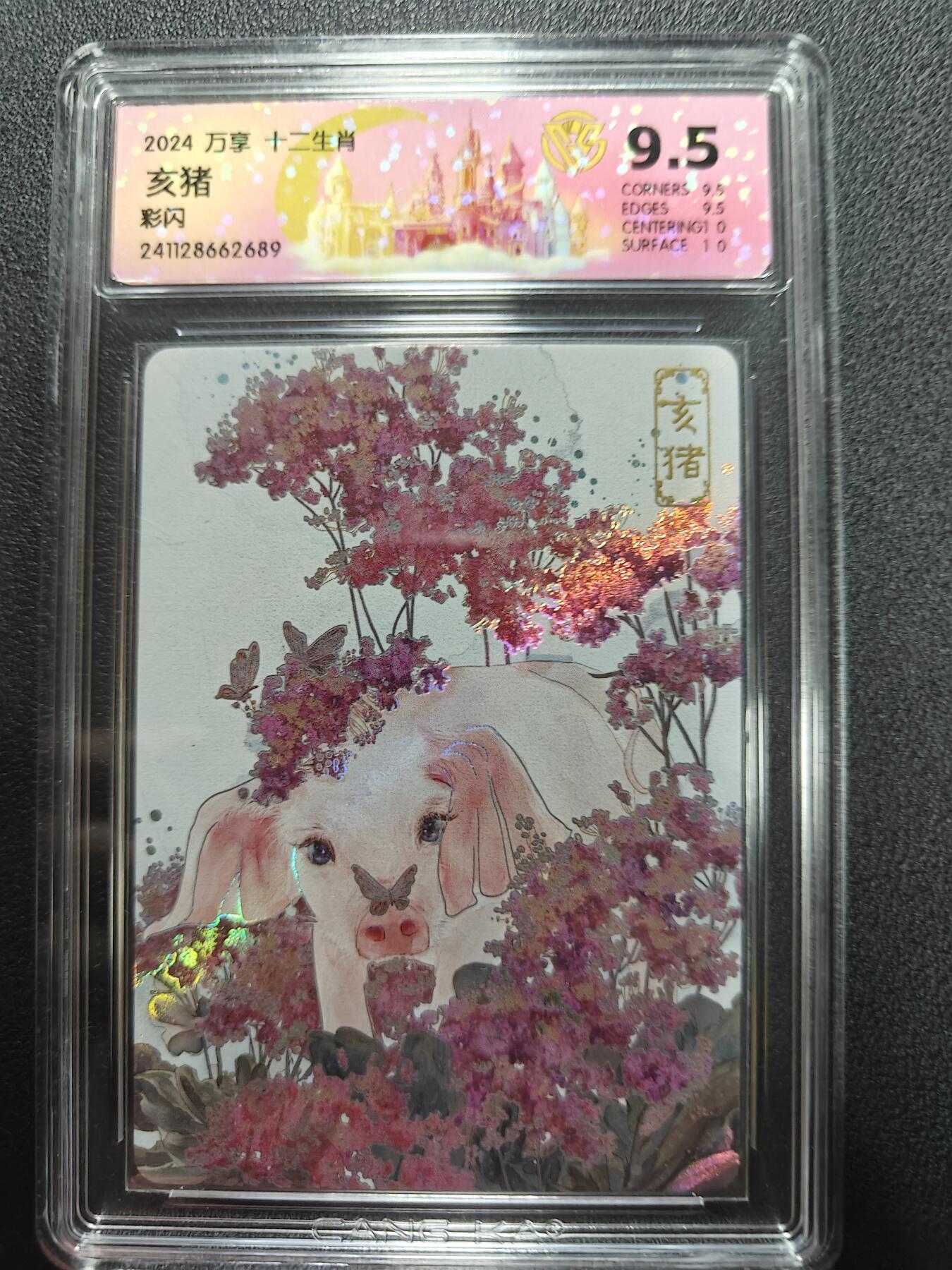 天玑星卡拍第161期《1.15周四截拍》持续收拍收评中 满赠卡需备注