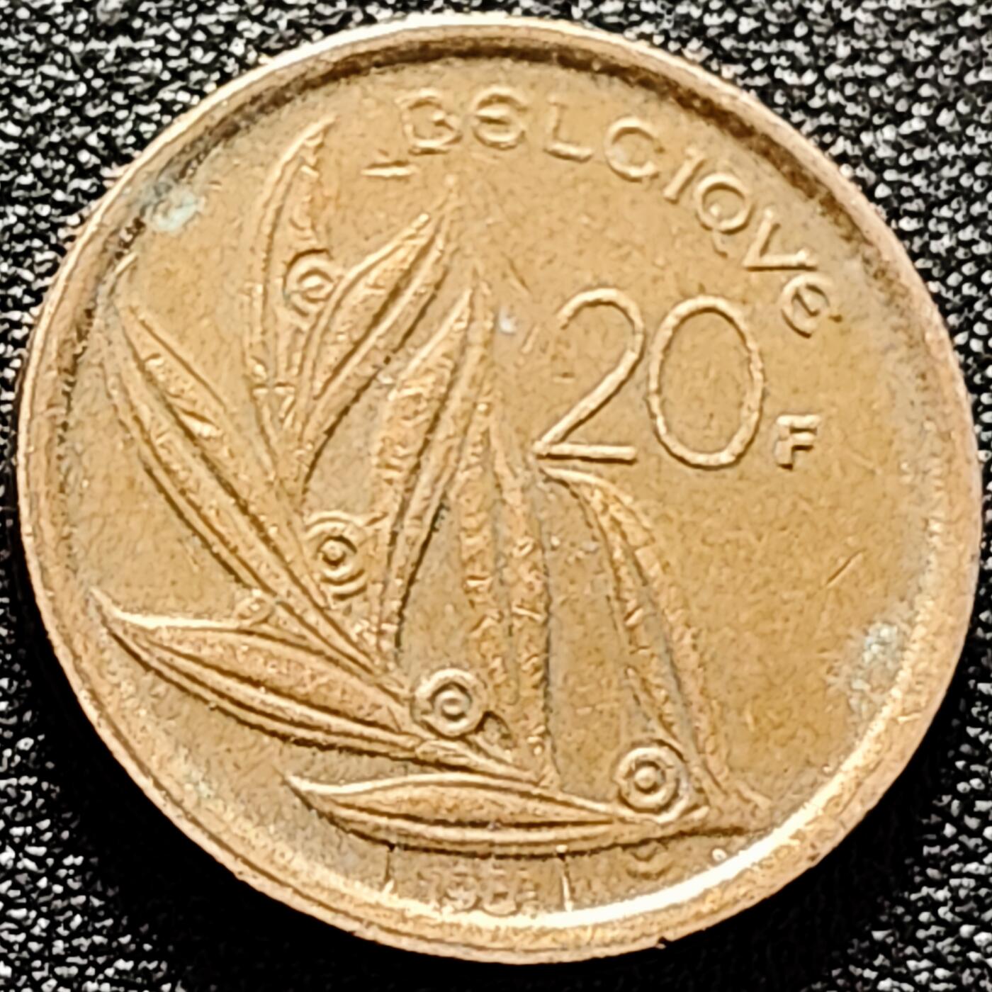 泉币菌-第170场- 精品福利场 。