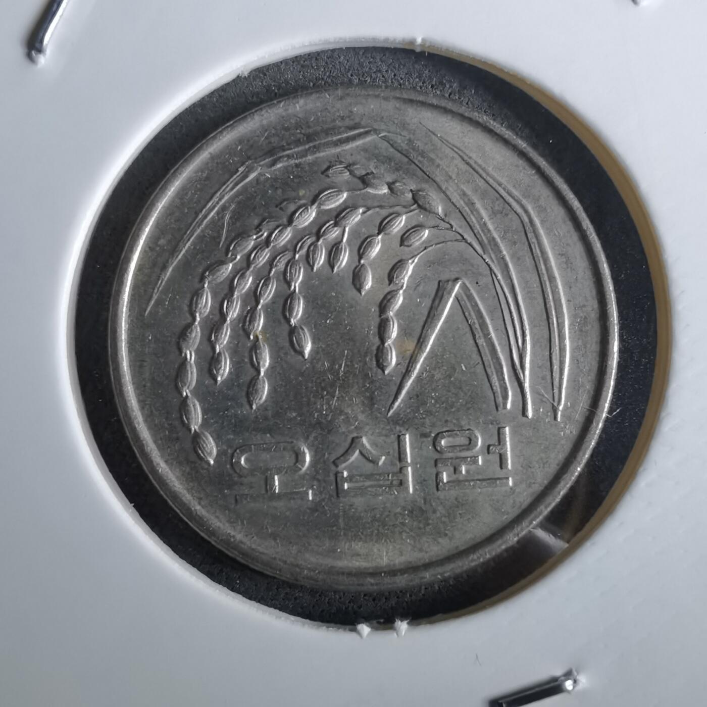 沼泽如烟--第961场