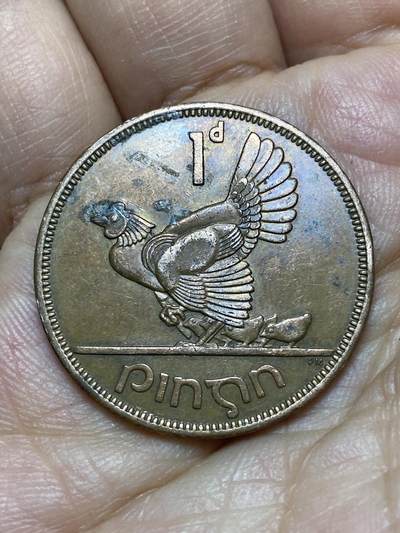 2026年第八场(总第一百七十七场）外国好品散币场(免佣金) - 爱尔兰🇮🇪1962年1便士(共和国时期第一套)