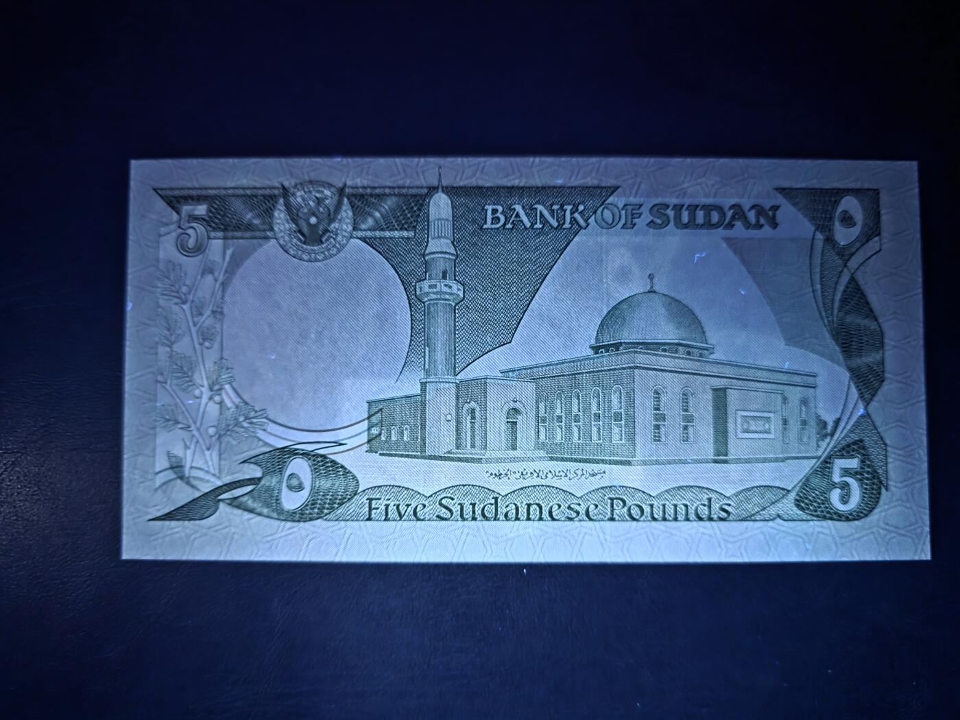 叁拾收藏第34期 苏丹早期5镑  UNC