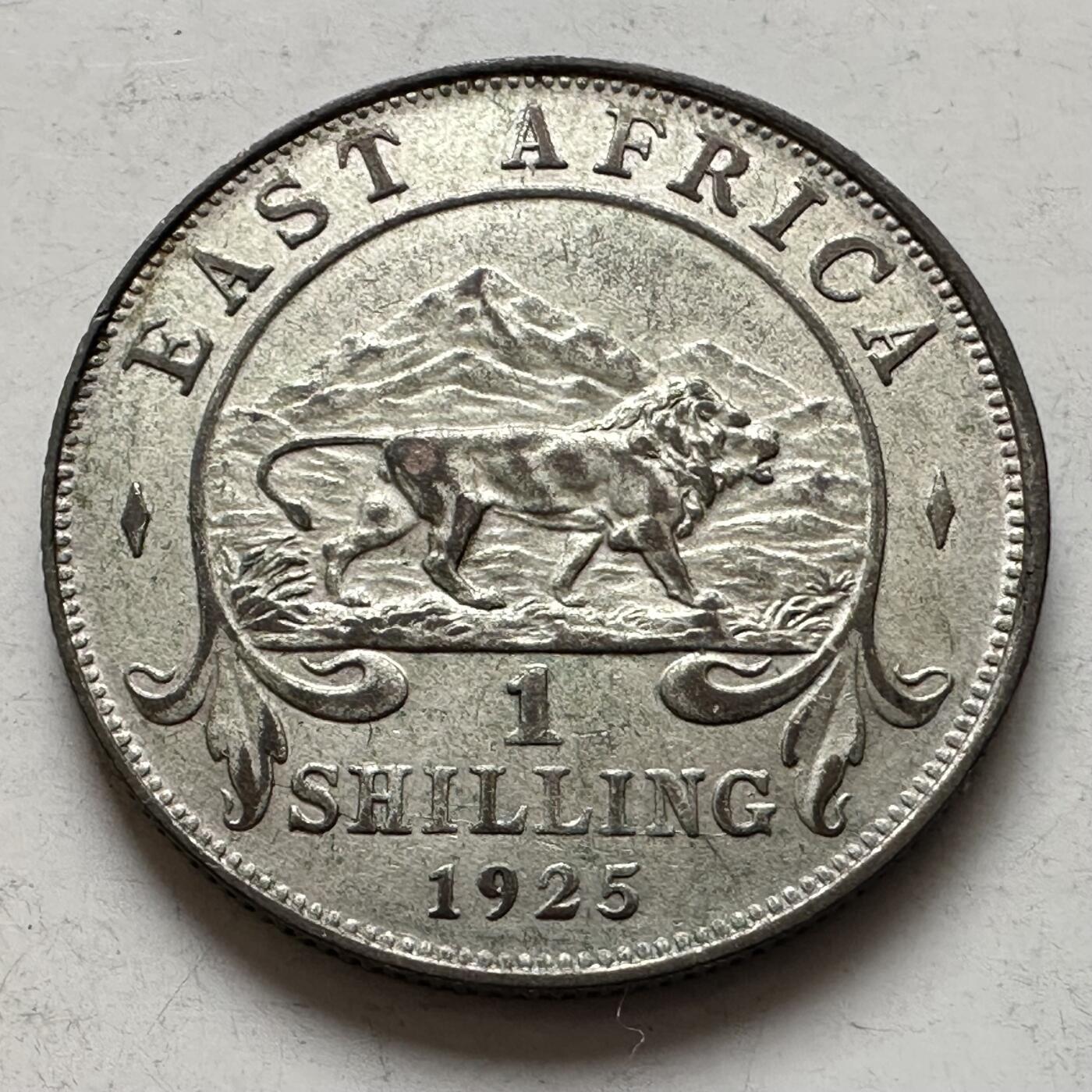 🌹外币初藏🌹🐯2026年第8场  每周二四六晚8️⃣点 接代拍 英属东非1925年一先令银币