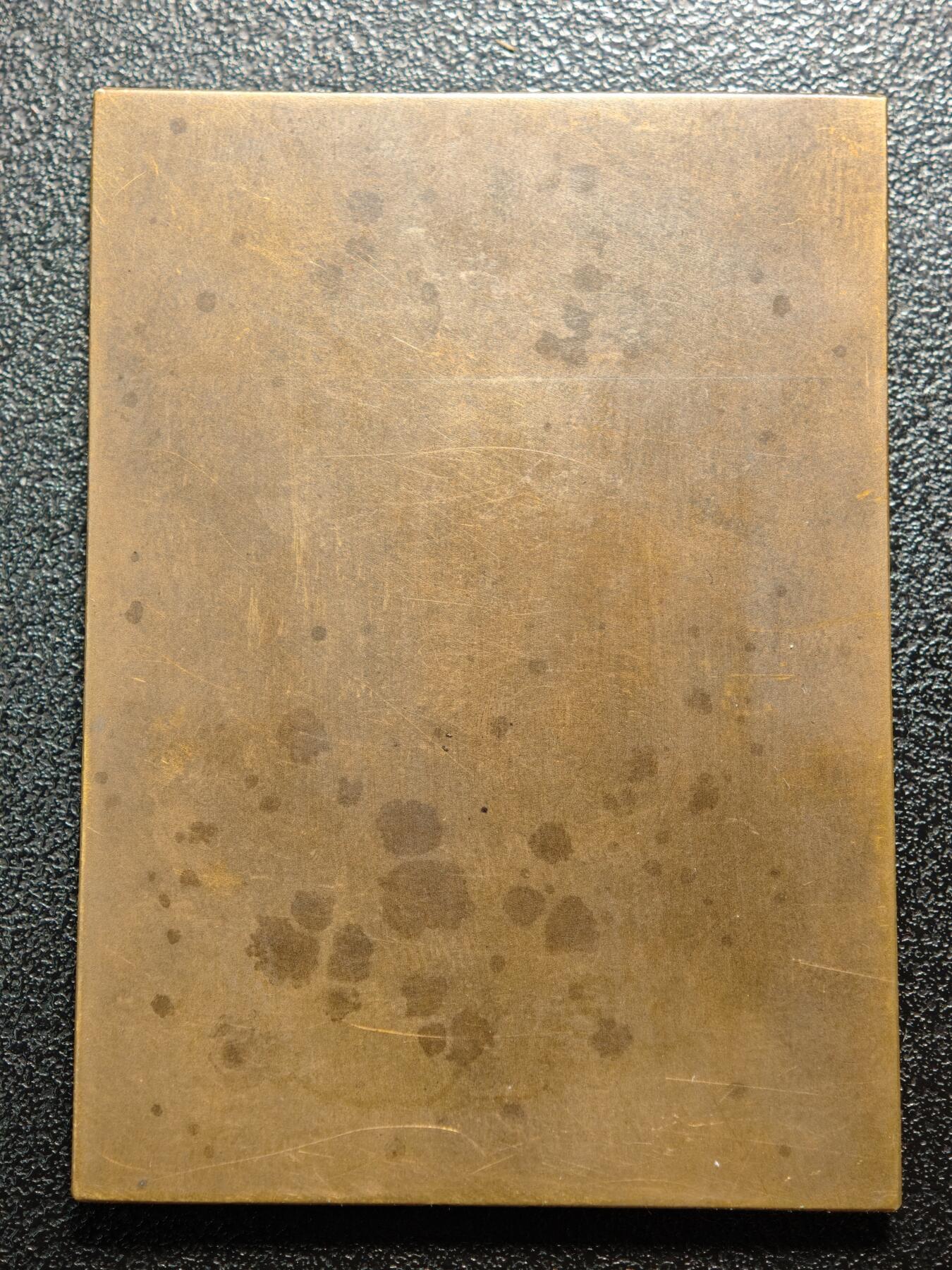 【德藏】世界币章拍卖第162期（拍品征集中~欢迎藏友联系） 1895年 奥地利音乐家理查德·瓦格纳矩形纪念铜章 雕刻家Franz Xaver Pawlik作品 外拍高价 包浆温润 直径约：43.8mm×60.3mm；重约：64.6g