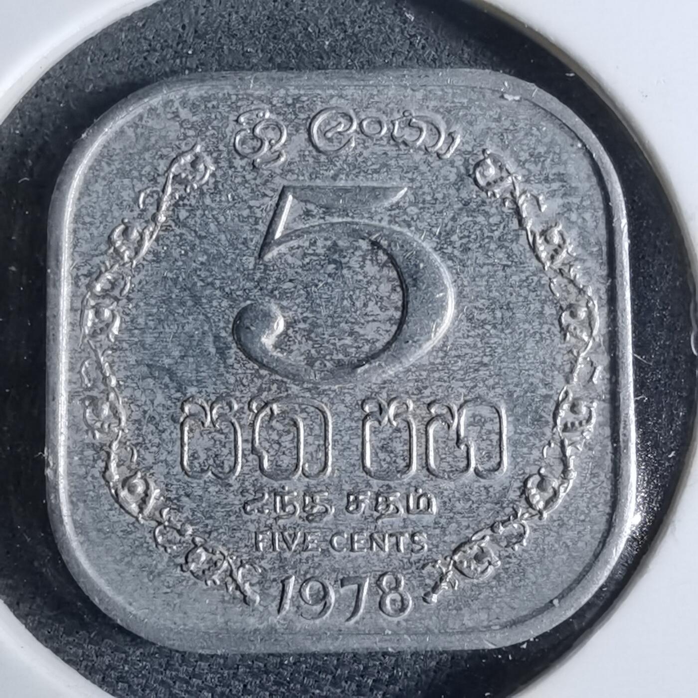 沼泽如烟--第962场