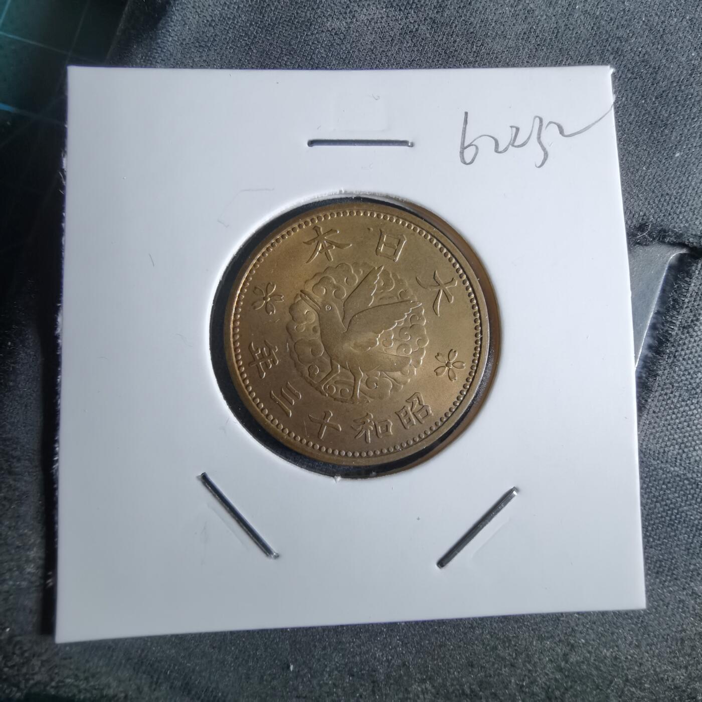 沼泽如烟--第962场