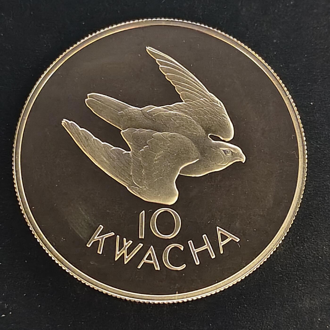 【全场包邮】纯粹捡漏拍495场-持续更新中 【少见】赞比亚1979年10克瓦查保护动物东非隼超大精制纪念银币-量3256